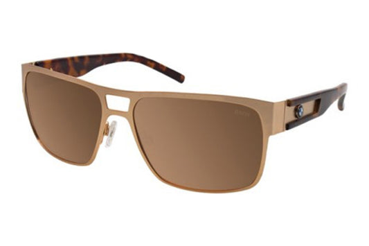 B6521 Sunglasses